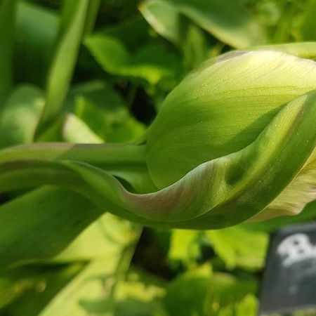 Les Jardins Hoymille Exterior foto