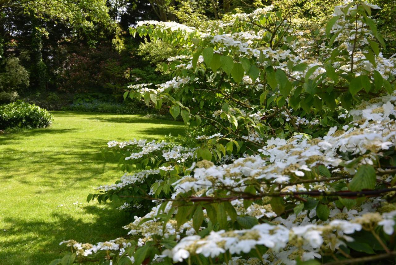 Les Jardins Hoymille Exterior foto