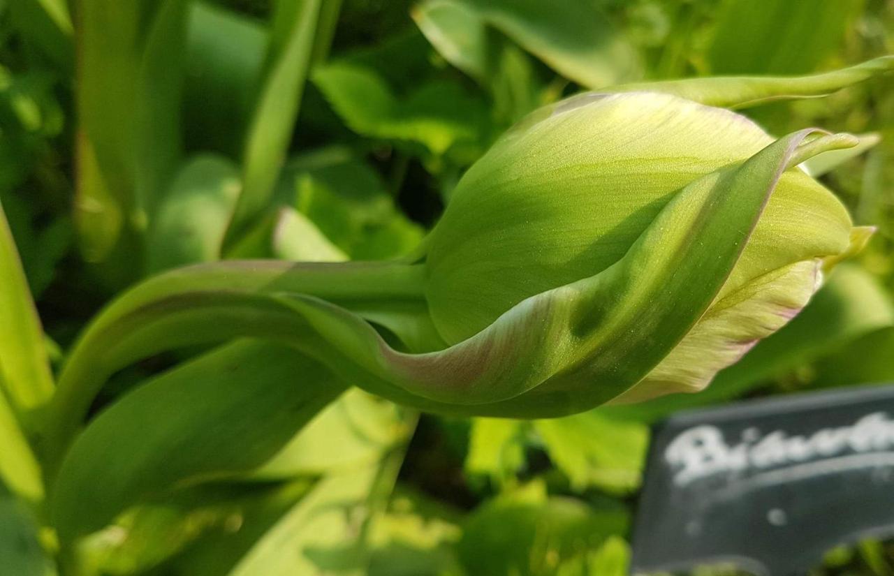 Les Jardins Hoymille Exterior foto